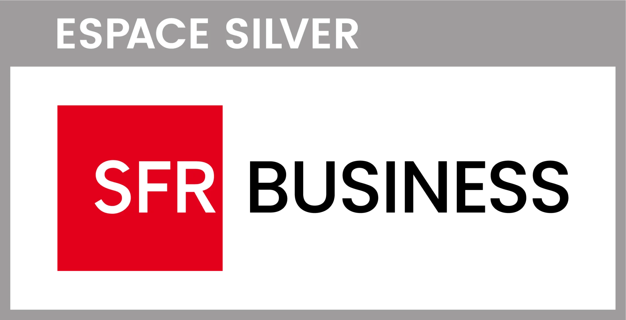 ESPACE_SILVER_SFR_BUSINESS_Logo_RVB